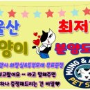 멍앤멍스 이미지