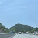 제기16 | 임신준비_16 || 분당차 난임센터 자궁경 후기 (통증, 과정, 주의사항, 프로기노바 처방)