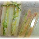 샌드위치 & 샐러드 이미지