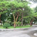 이리초등학교 이미지