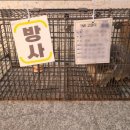 (주)해든바이오 이미지