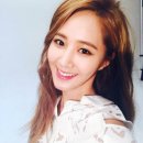 삼진유리 이미지