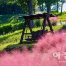 안성천 둔치공원 2 네이버블로그