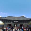 경주 토함산~불국사~석굴암~대릉원 이미지