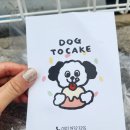 도그투케이크 이미지