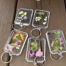 오치카리타스어린이집 이미지