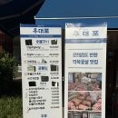 광교 맛집 분위기 좋은 야장 - 소고기 맛집 우대포 솔직 후기