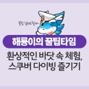 해룡잠수 티스토리