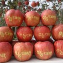 거창-고제-10 이미지