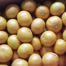 순덕농장 이미지