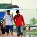 도그 에이스 이미지