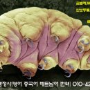 전대번역행정