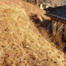 운파고택 이미지