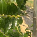 참나무골농장 이미지