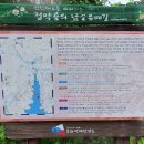 남도답사 1번지 『강진 다산초당, 백련사』