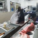 스위트장 이미지