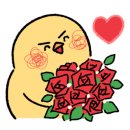 비주얼펫살롱 이미지