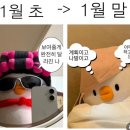 유알스튜디오 | 잠시 자유를 찾은 도비의 1월 일상✈️