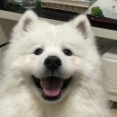 오에스짐