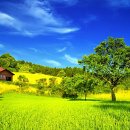 해인 행정사 사무소 이미지