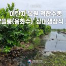 용화수 이미지