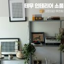 3959 | 내돈내산 테무 인테리어 소품 구매 후기/ 테무 추천템 8가지 솔직 후기!