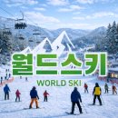 강촌이모네 | 엘리시안강촌 스키장 스키강습 렌탈샵 만족 후기
