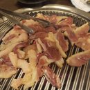 오리박사 이미지