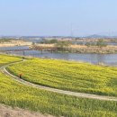 영산강둔치체육공원 이미지