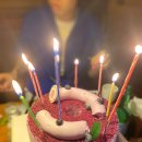 대명동 맛집 안먹고는 못참치, 생일 기념 방문 후기