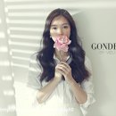 비쥬바이진스&공드리