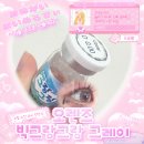 그랑블링 | [OLENS] 오렌즈 한달용렌즈 14.2mm 빅그랑그랑 그레이 리뷰 ♡ (❁ᴗ͈ˬᴗ͈)⁾⁾⁾