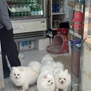 굴다리슈퍼 이미지
