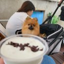 청호상회 이미지