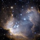 산천초목 이미지