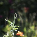 벌말공원 이미지