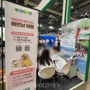 메가투어주
