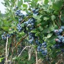 자연의쉼터 이미지