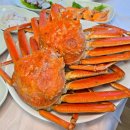 대게어때 | 강원도 고성맛집 여기어때? 대게부터 물회까지 거진항 횟집 추천
