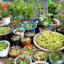 명당경로당 이미지