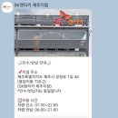 세븐일레븐 울산동문점 | 제주도 여행 4박 5일 1일차(제주)