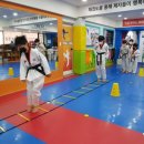 국가대표 오봉태권도장 네이버블로그