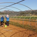 땅끝농장 이미지