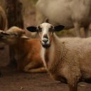 무학모텔 | 양양호텔 무학모텔 깔끔한 침구 상태