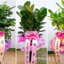 푸루미농장 네이버블로그