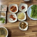 성남 진선보쌈 보쌈정식 후기