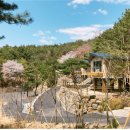 두루웰자연휴양림 이미지