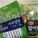 보성통증동물병원