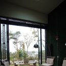 솜니움트리 이미지