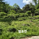 산소 벌초를 맑끔히 했습니다. 이미지